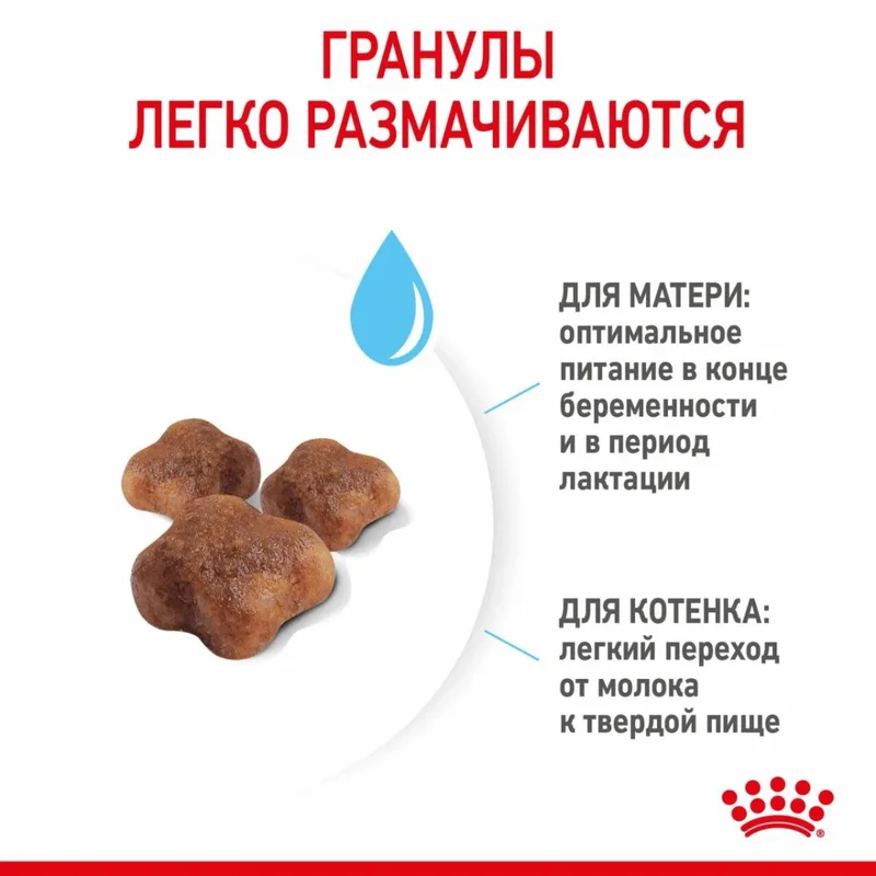 Изображение корма 4