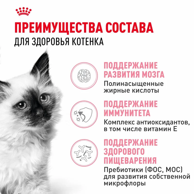 Изображение корма 2