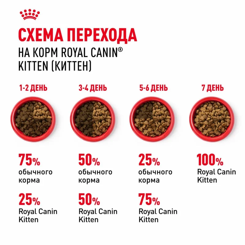 Изображение корма 6