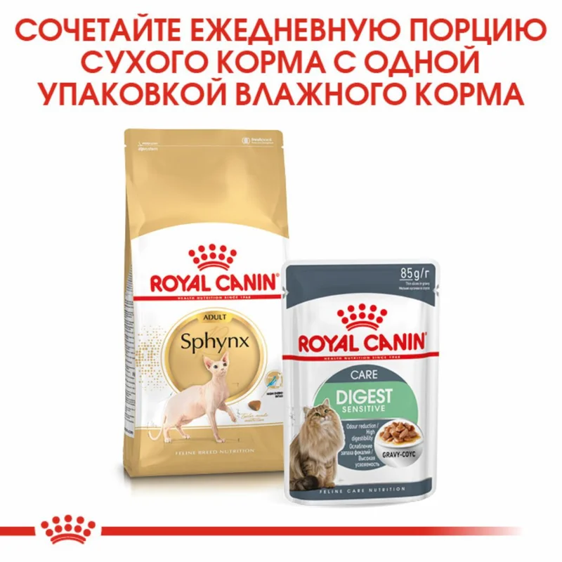 Изображение корма 3