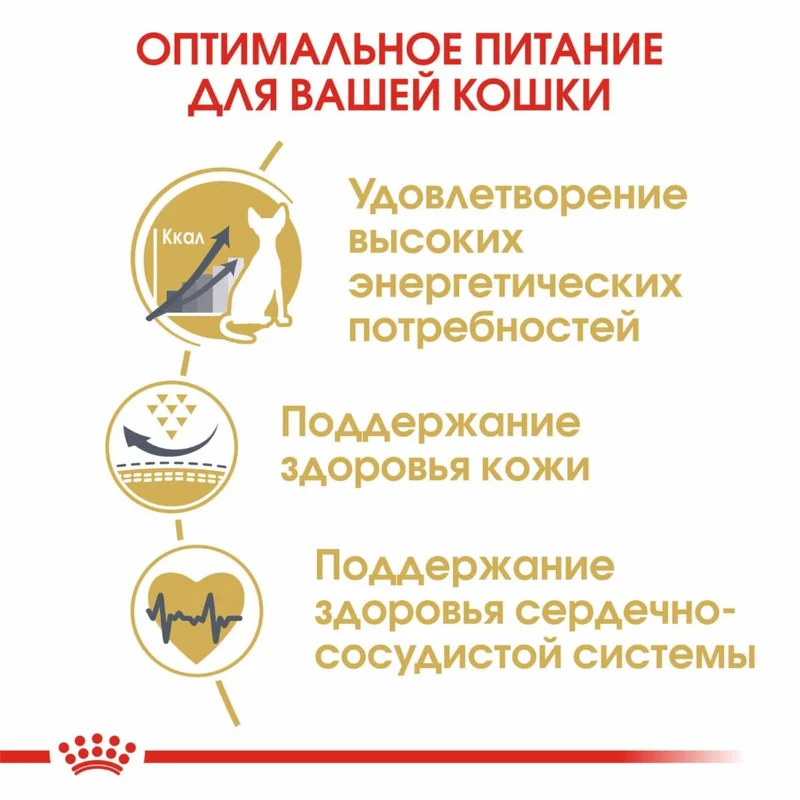 Изображение корма 4
