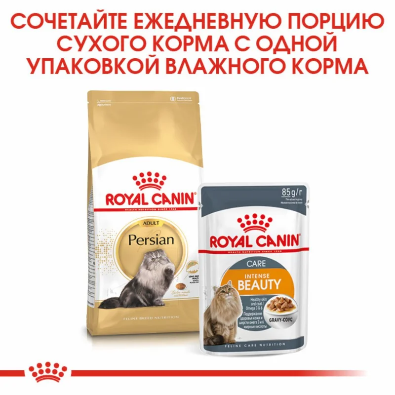 Изображение корма 3