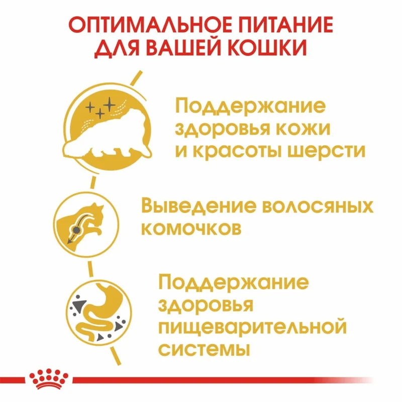 Изображение корма 4