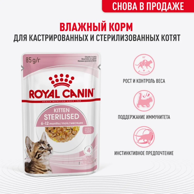 Изображение корма 3