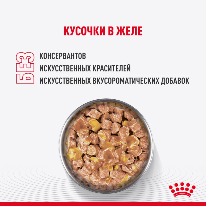 Изображение корма 6