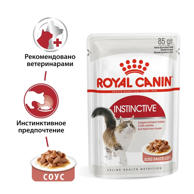 Изображение корма 1