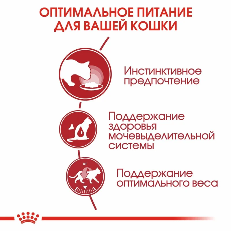 Изображение корма 4