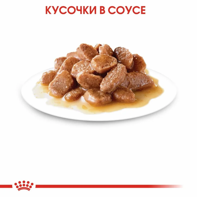 Изображение корма 5