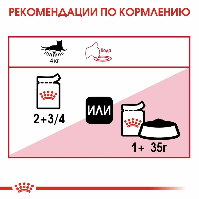 Изображение корма 6