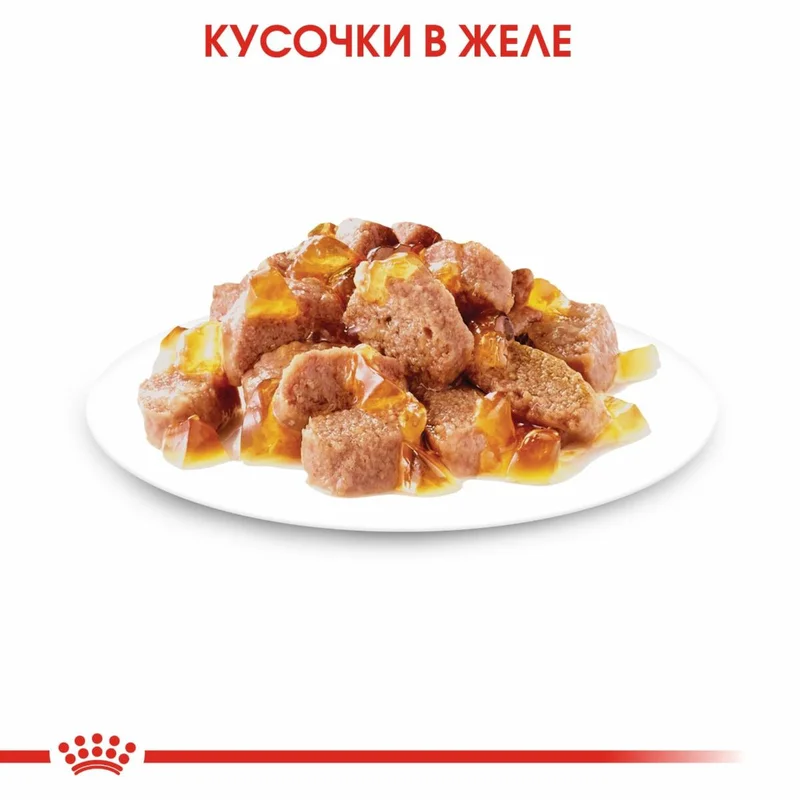 Изображение корма 3
