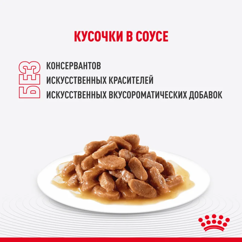 Изображение корма 4