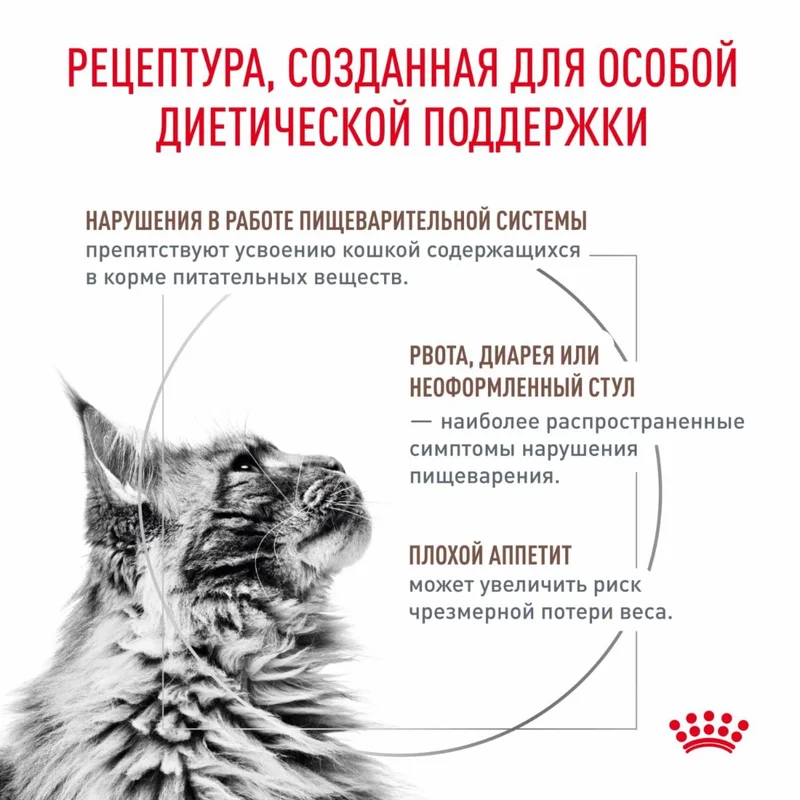 Изображение корма 3