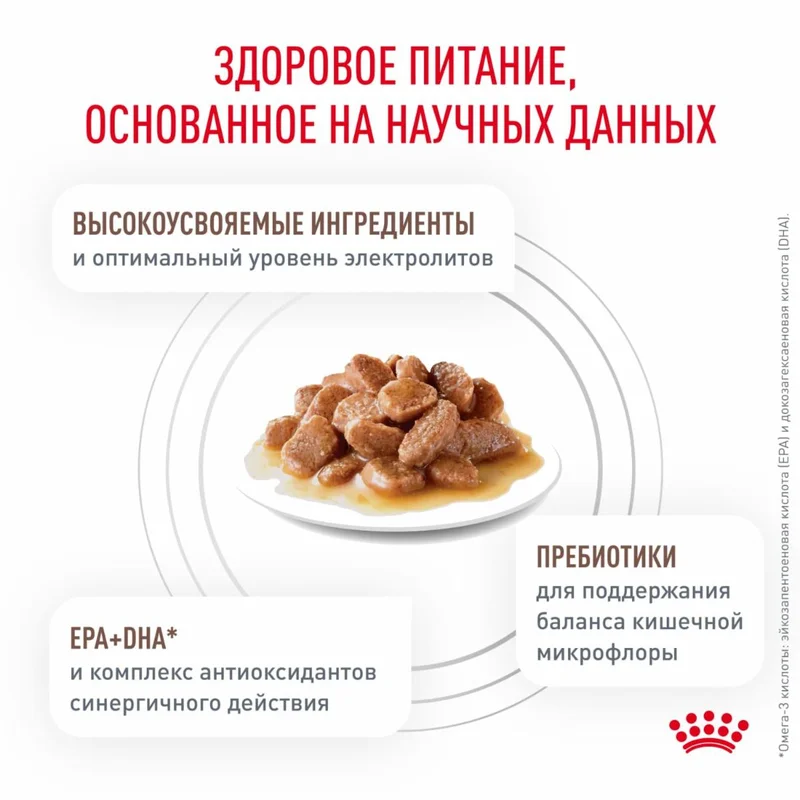 Изображение корма 4