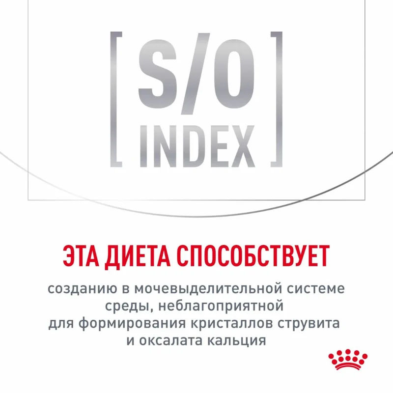 Изображение корма 6
