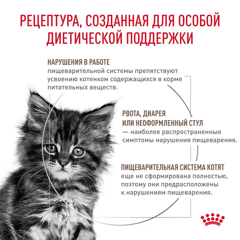 Изображение корма 3