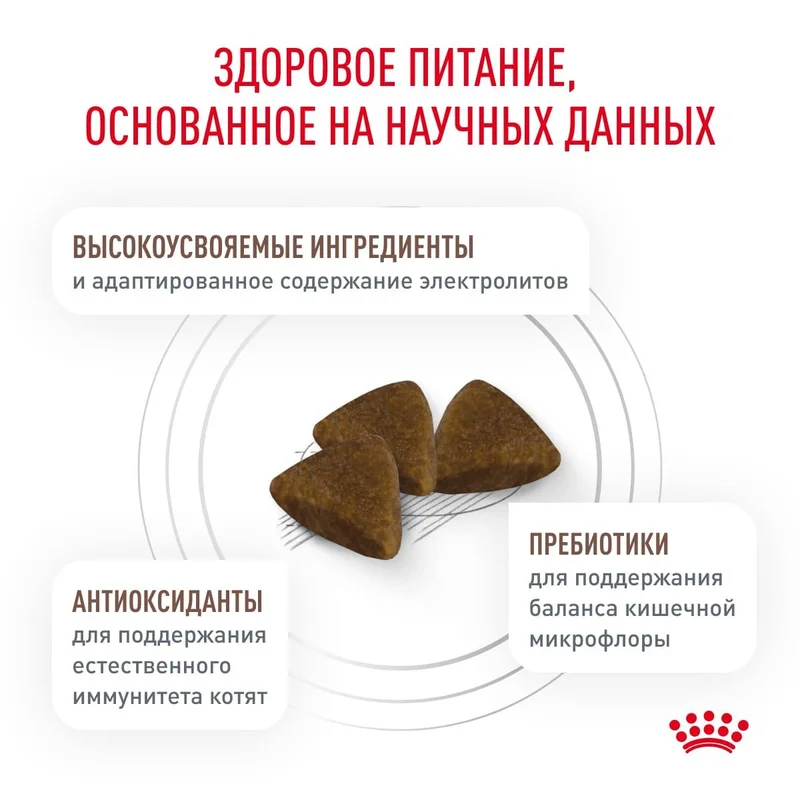 Изображение корма 4