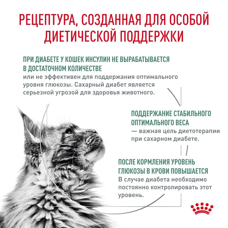 Изображение корма 3