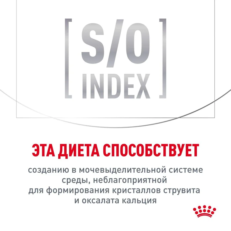 Изображение корма 5