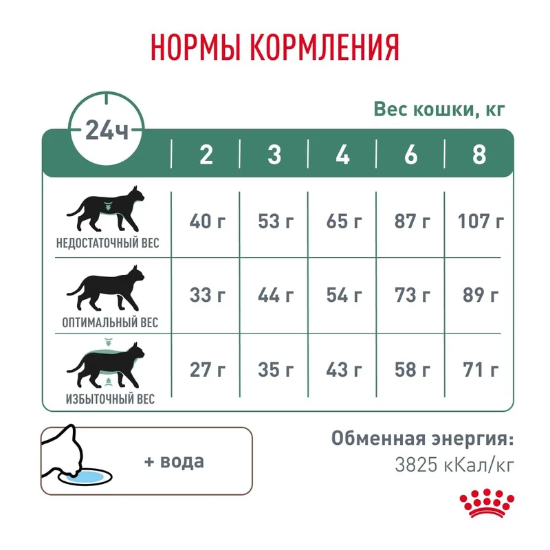 Изображение корма 6
