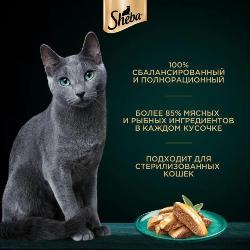 Изображение корма 4