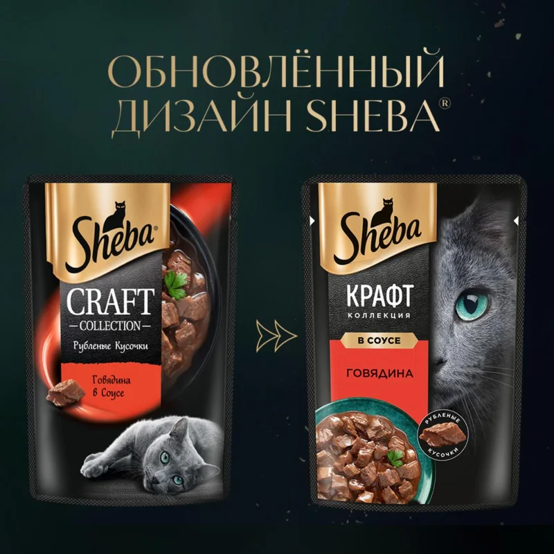 Изображение корма 1
