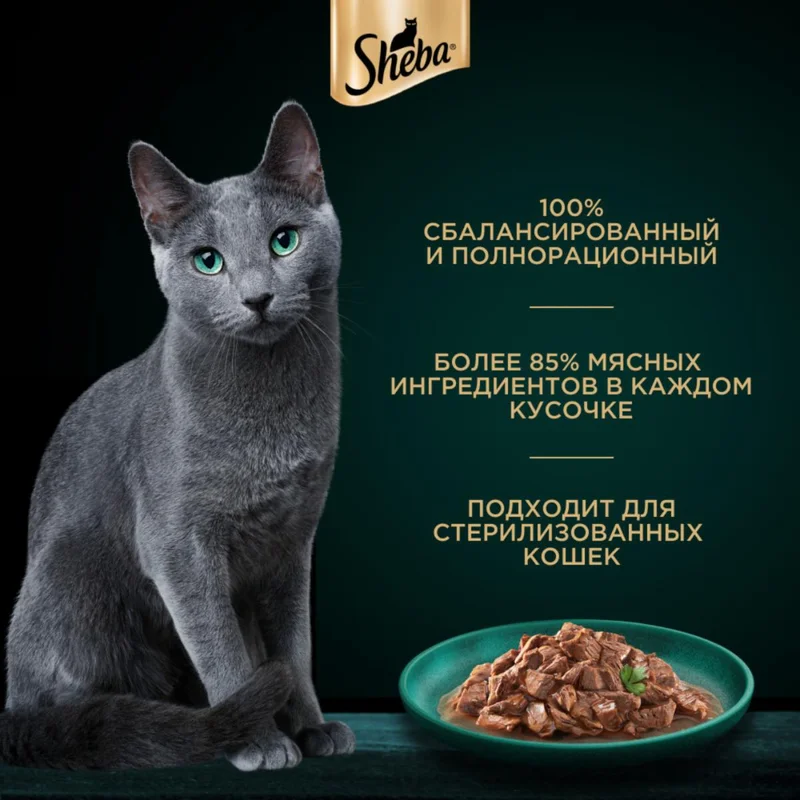 Изображение корма 4