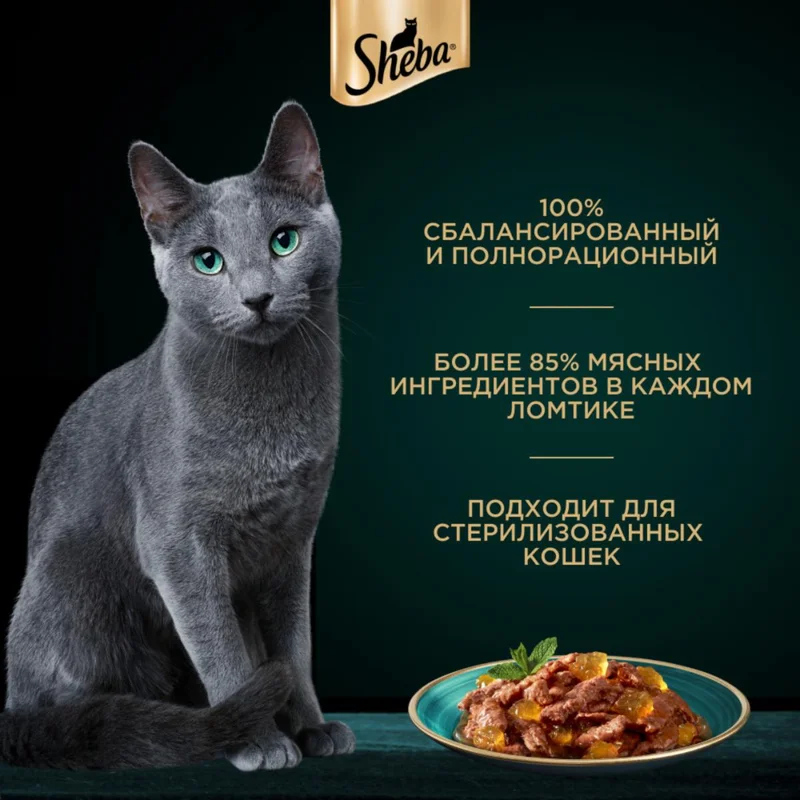 Изображение корма 4