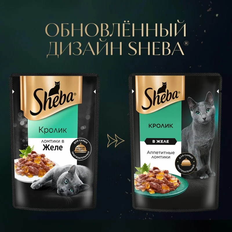 Изображение корма 1