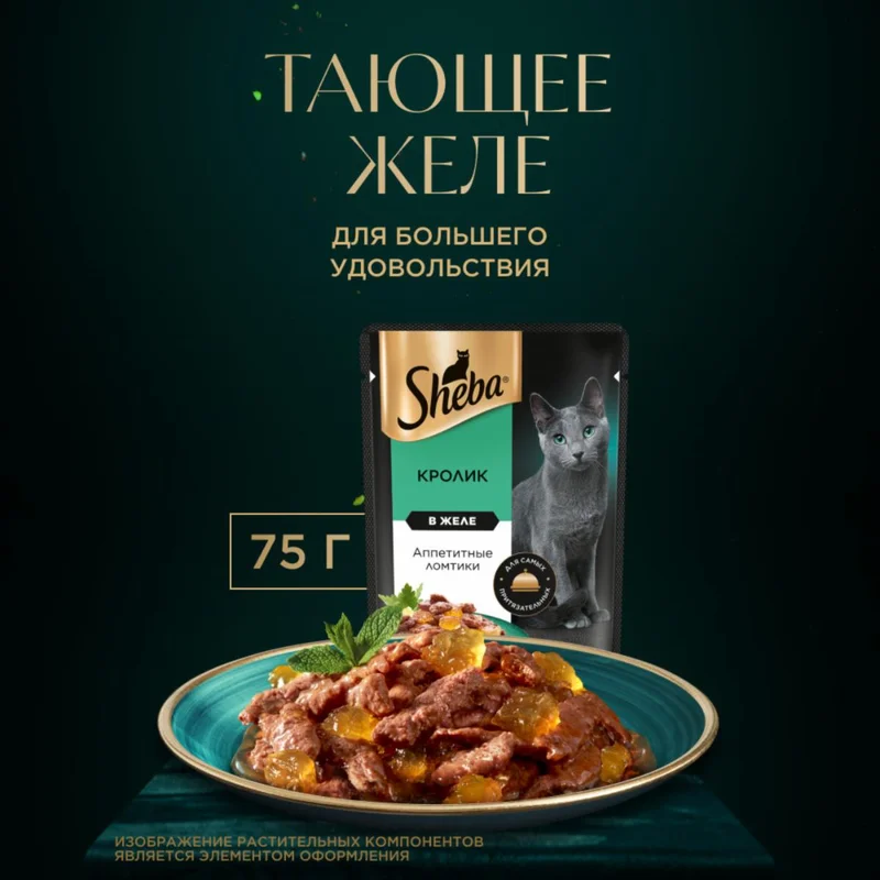 Изображение корма 3