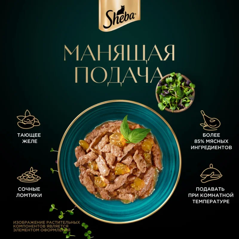Изображение корма 5
