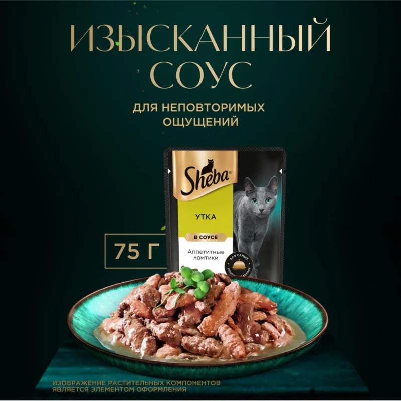 Изображение корма 3