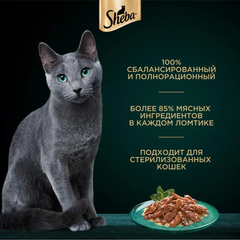 Изображение корма 4