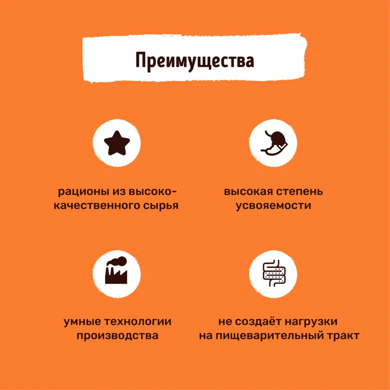 Изображение корма 2