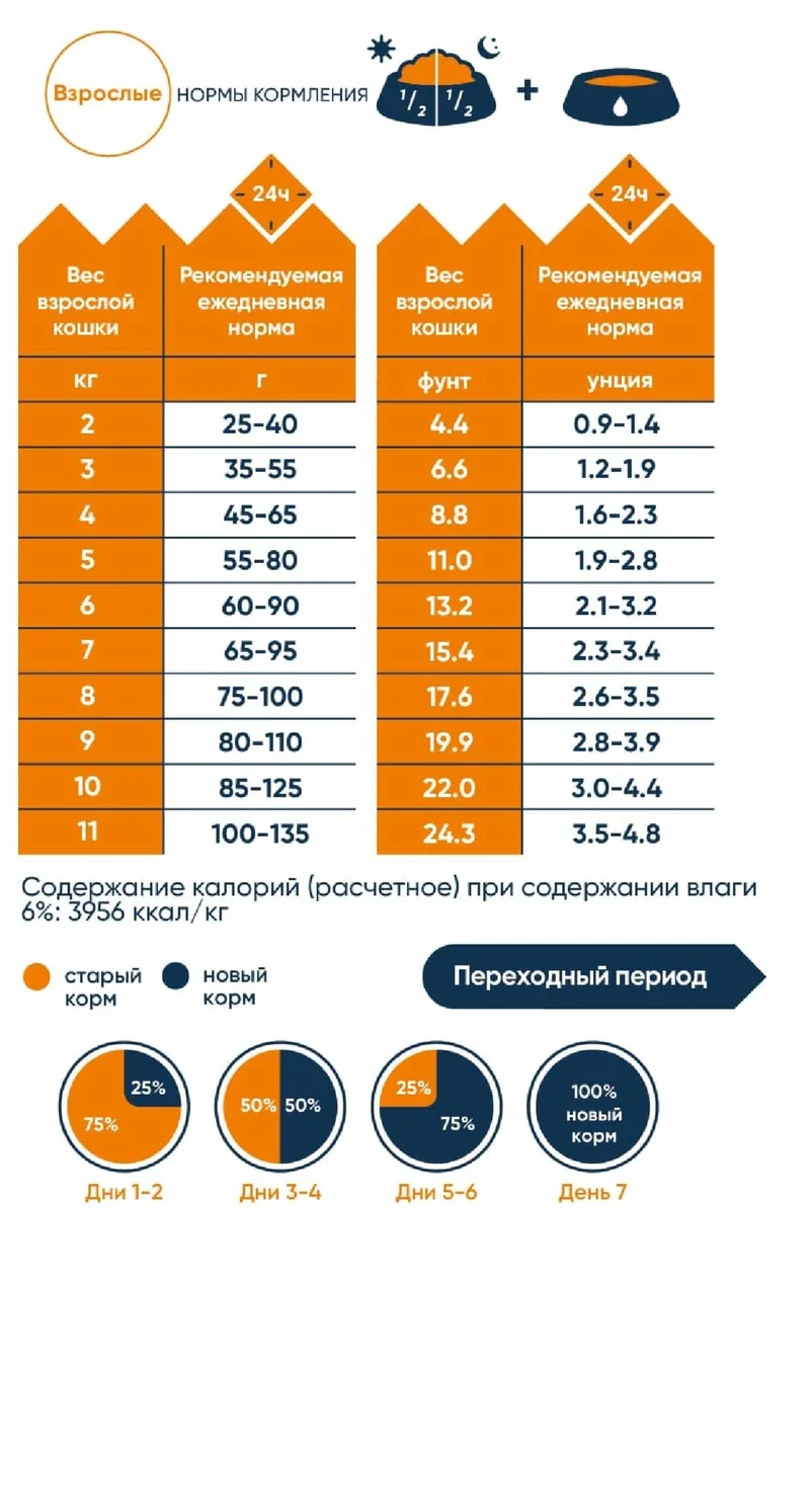 Изображение корма 5