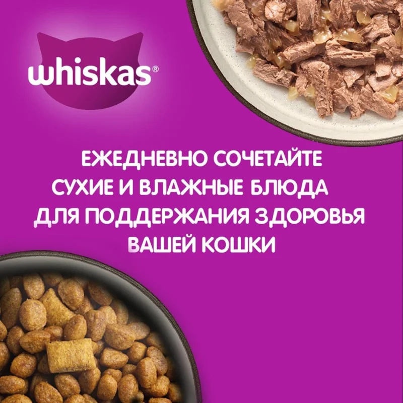 Изображение корма 4