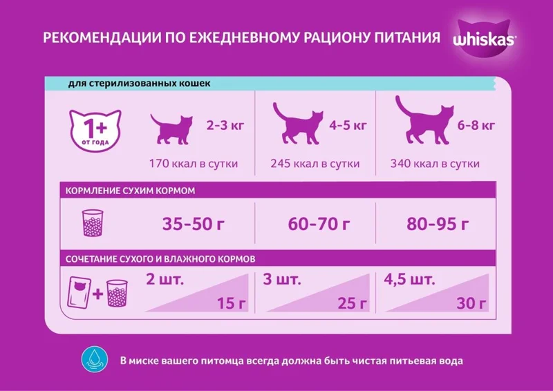 Изображение корма 3