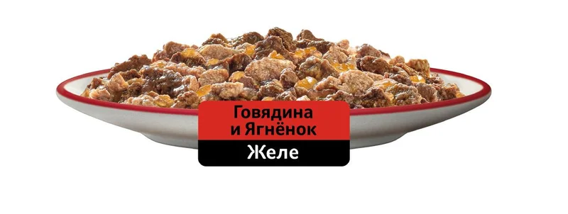 Изображение корма 2