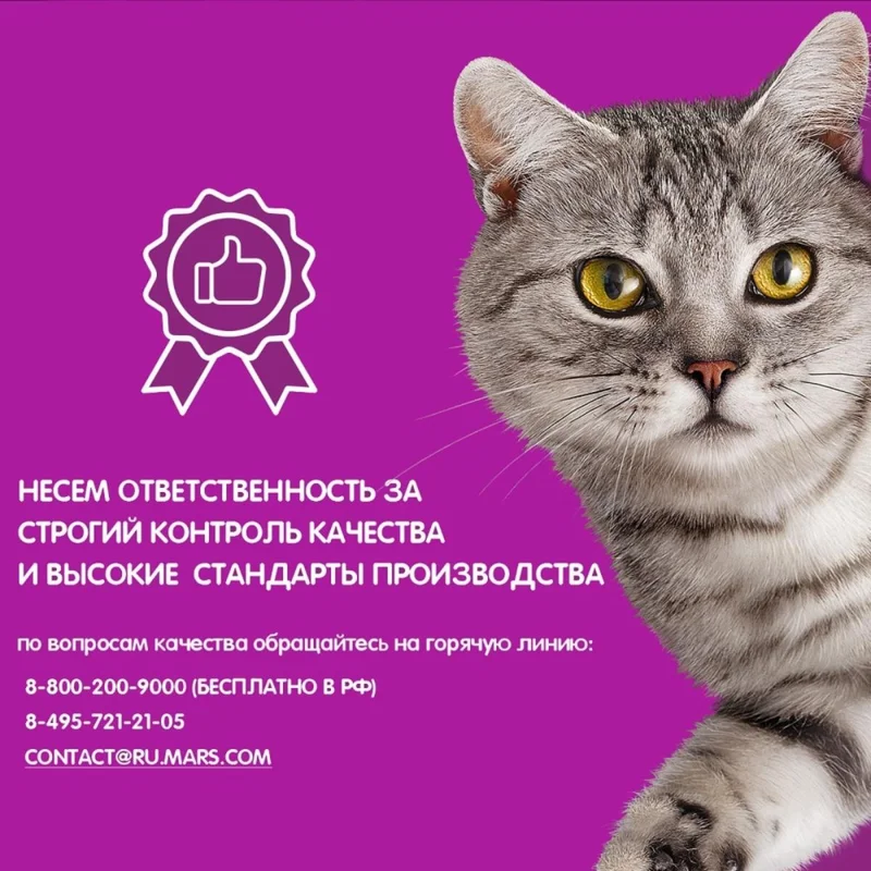 Изображение корма 4