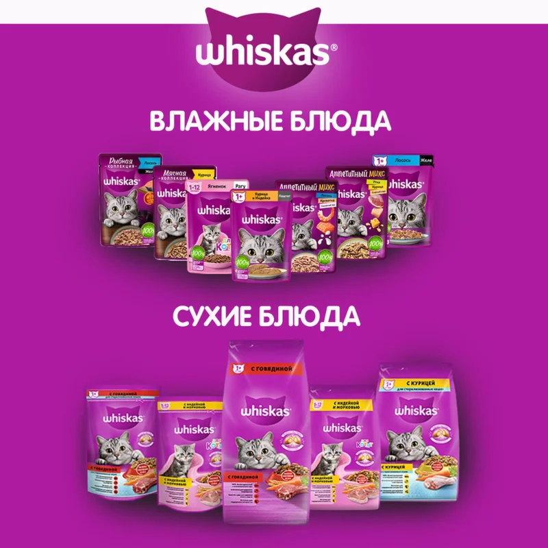 Изображение корма 6