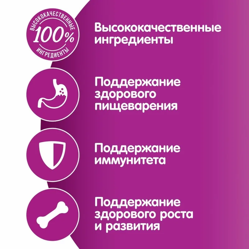 Изображение корма 3